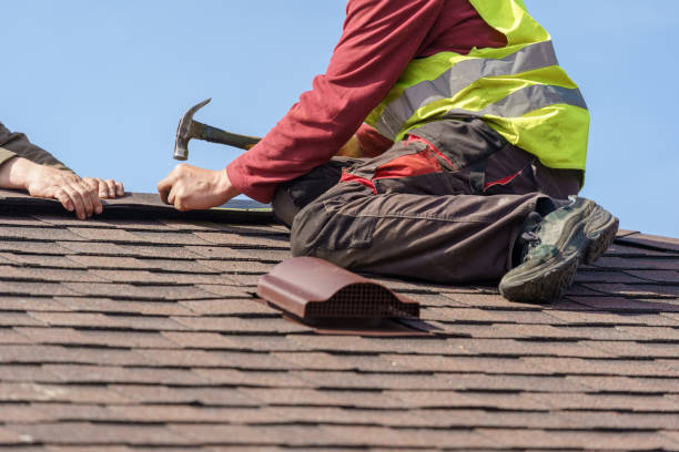 Best Roof Gutter Cleaning  in Ten Mile Creek, MD