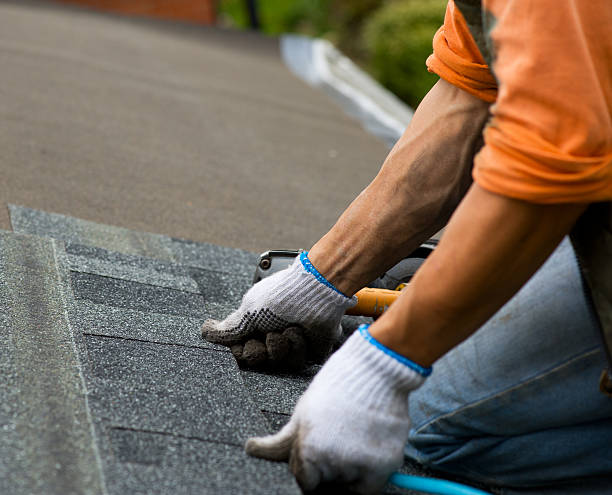 Best Gutter Installation and Roofing  in Ten Mile Creek, MD